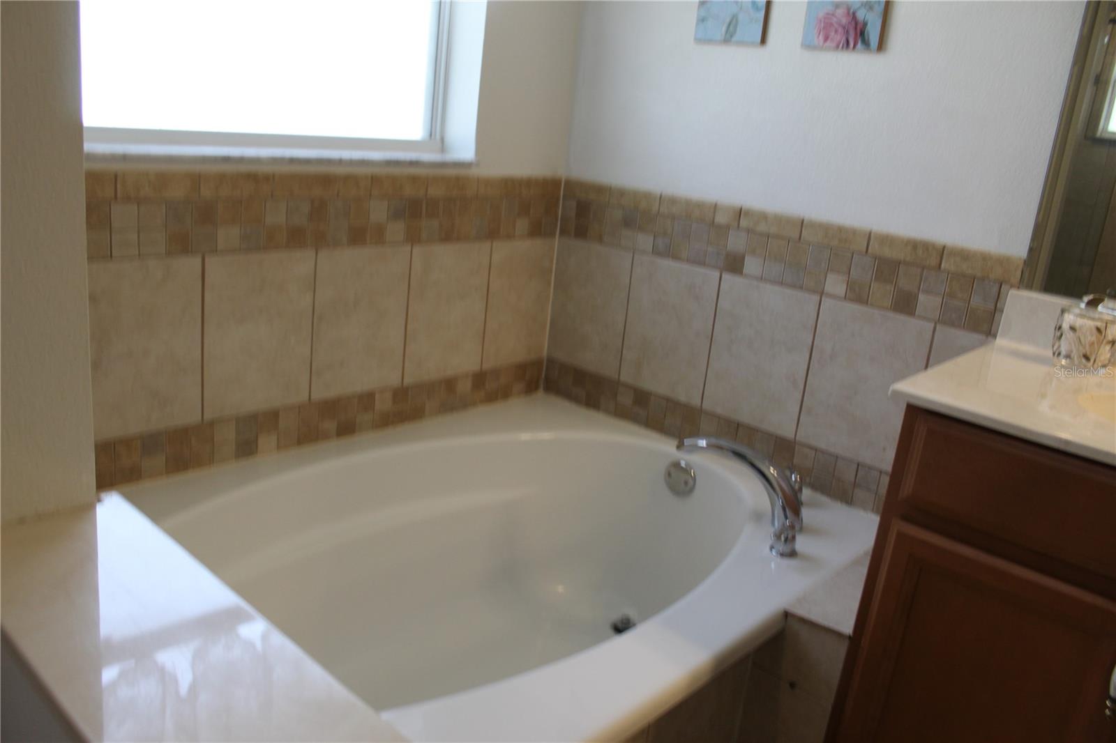 Image 43 of 54 For 672 Coral Trace Boulevard