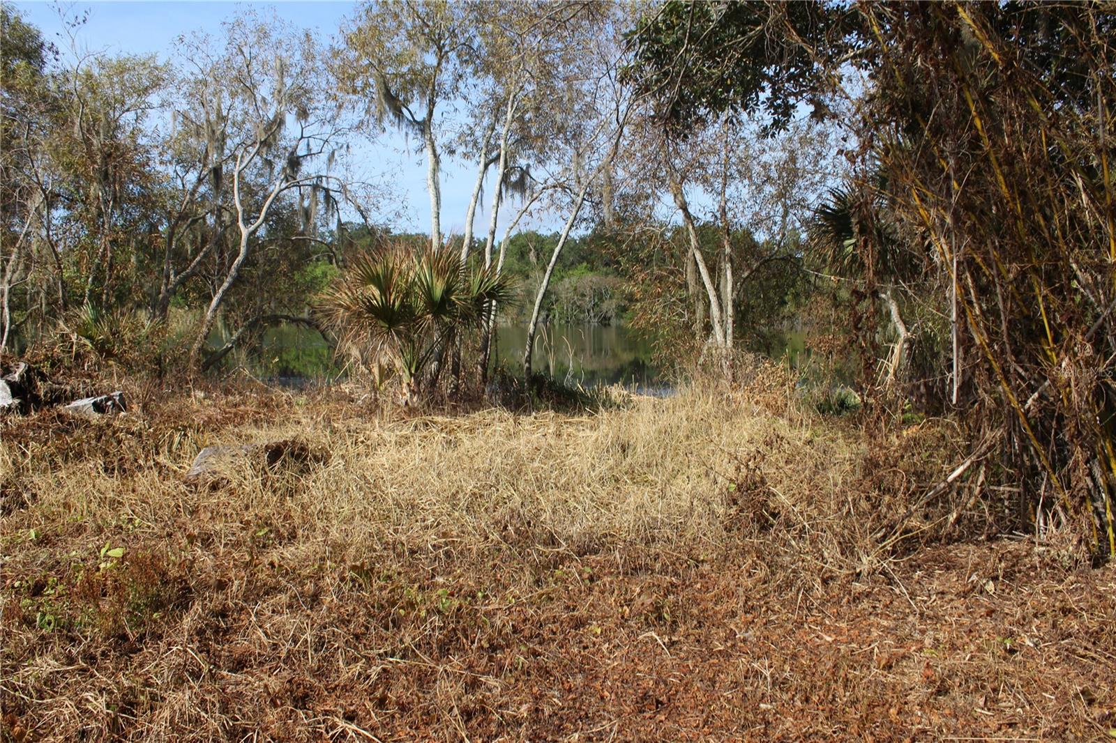 Image 47 of 54 For 672 Coral Trace Boulevard