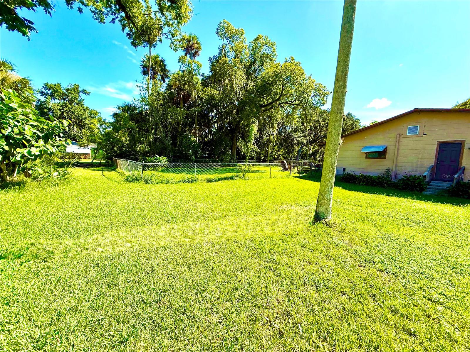 Image 3 of 29 For 631 Elm Avenue