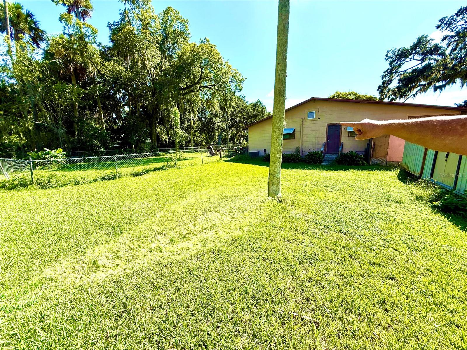 Image 4 of 29 For 631 Elm Avenue