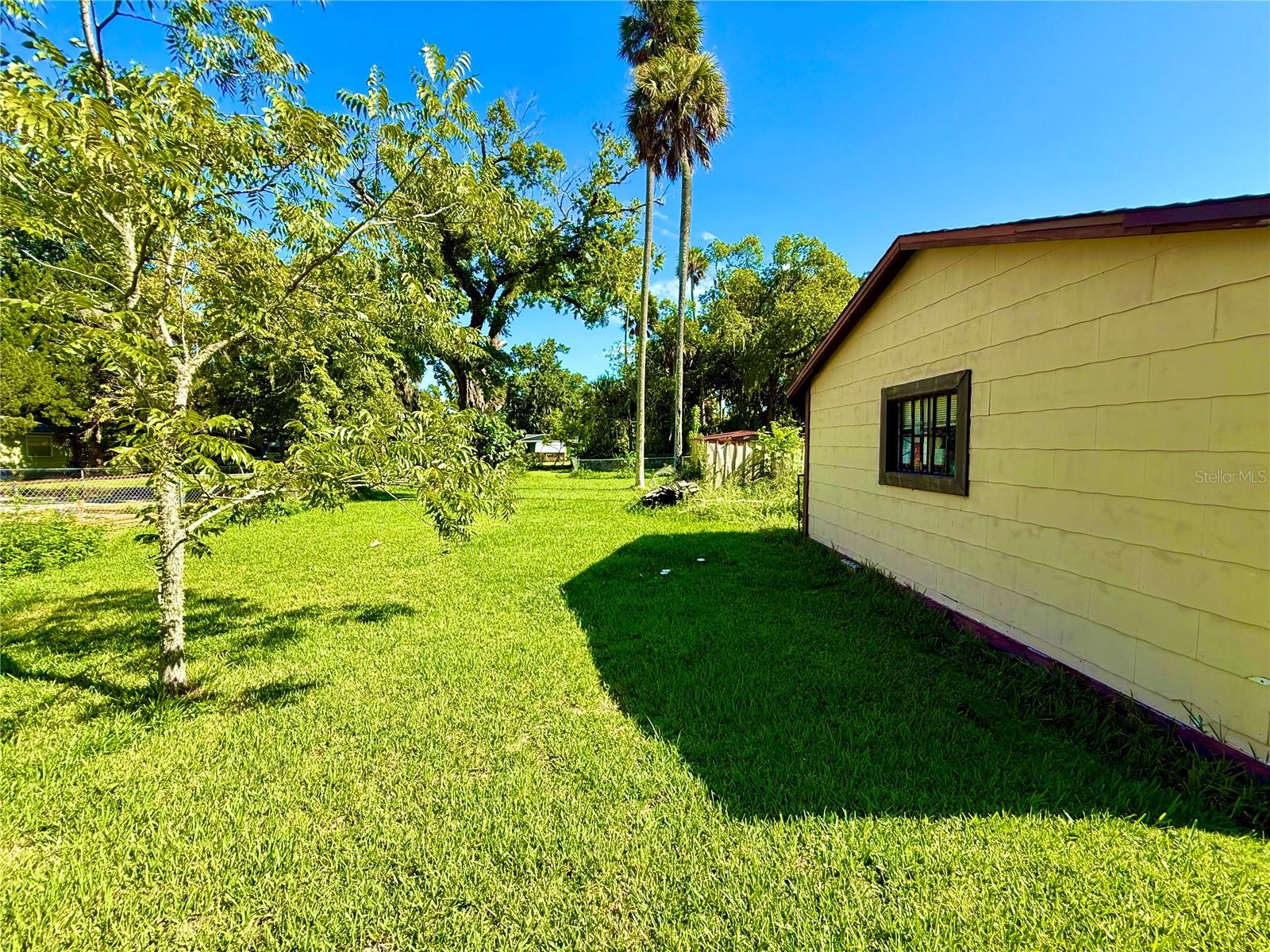 Image 6 of 29 For 631 Elm Avenue