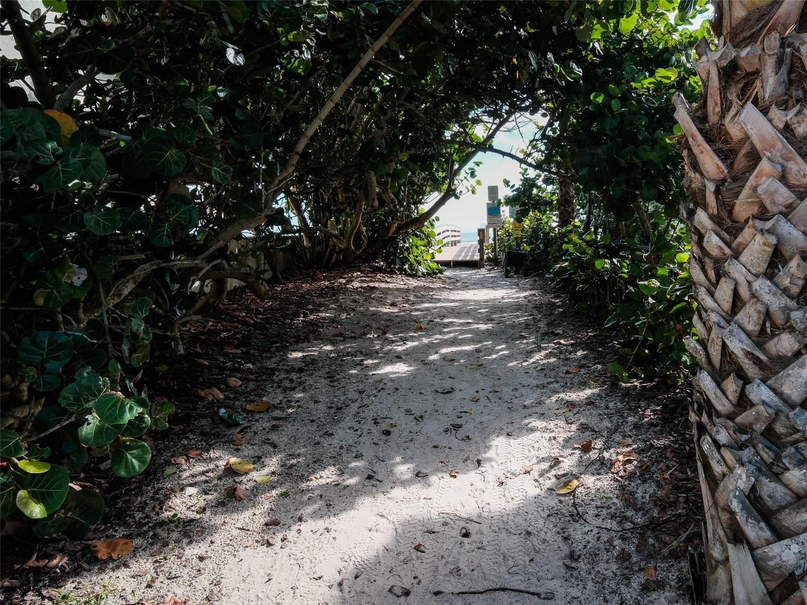 Image 58 of 64 For 4700 Van Kleeck Drive