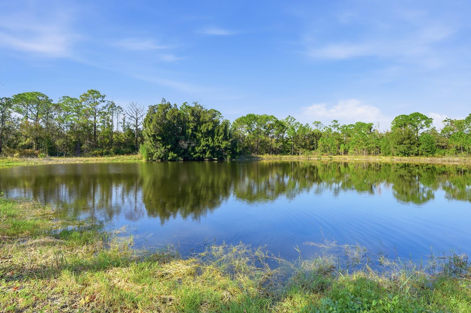 Image 13 of 15 For 270 Wright Grove Road