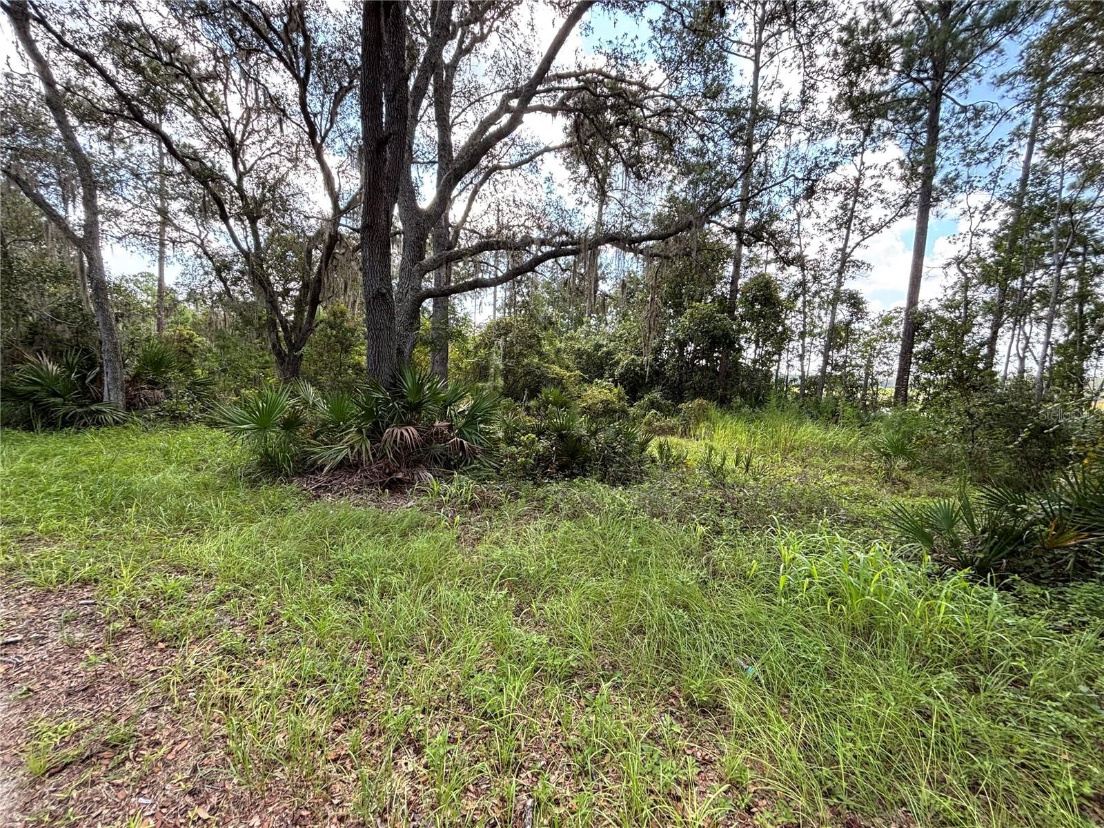 Image 3 of 5 For 246 Browns Hammock Road