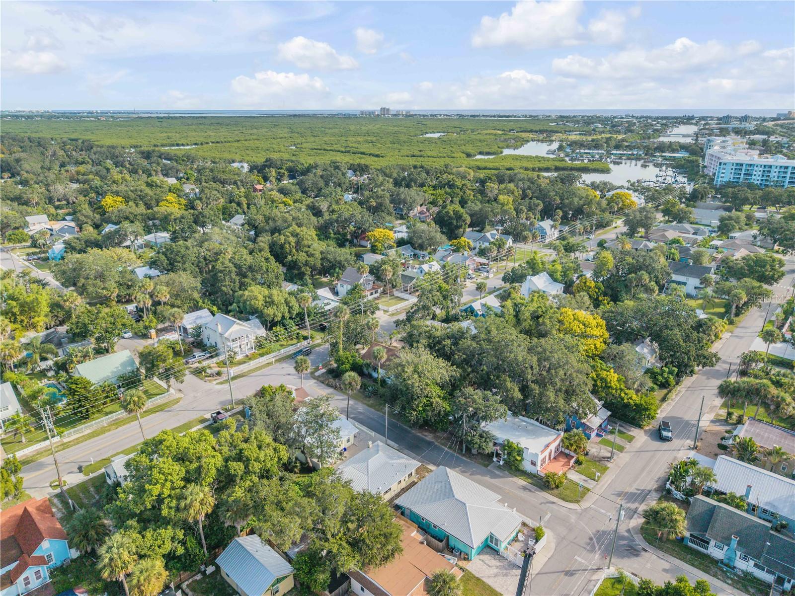 Image 43 of 50 For 218 Mary Avenue