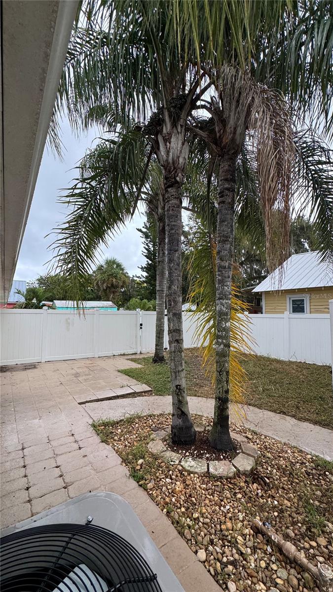 Image 21 of 22 For 724 Downing Street