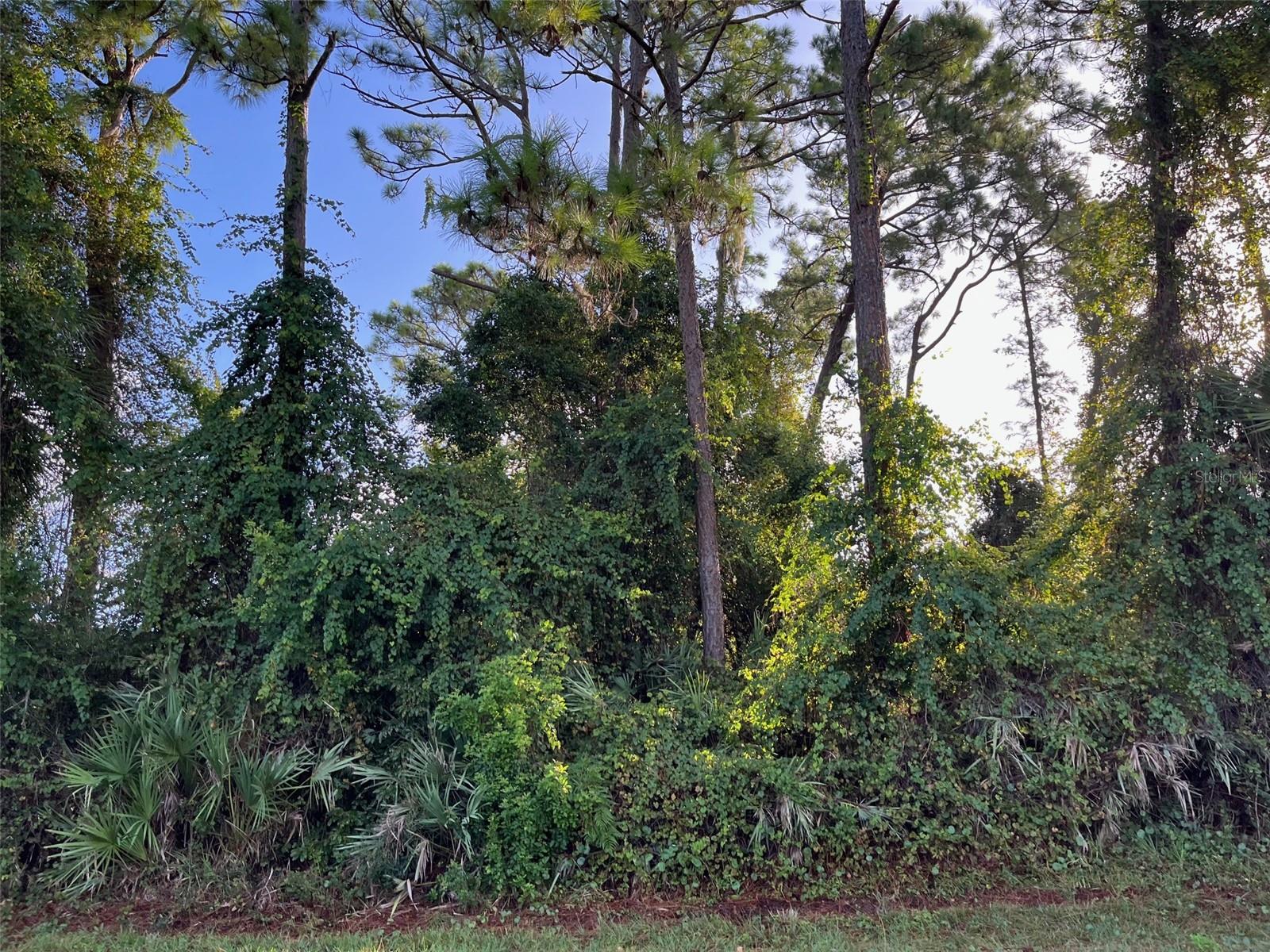 Image 2 of 2 For 1927 Travelers Palm Drive