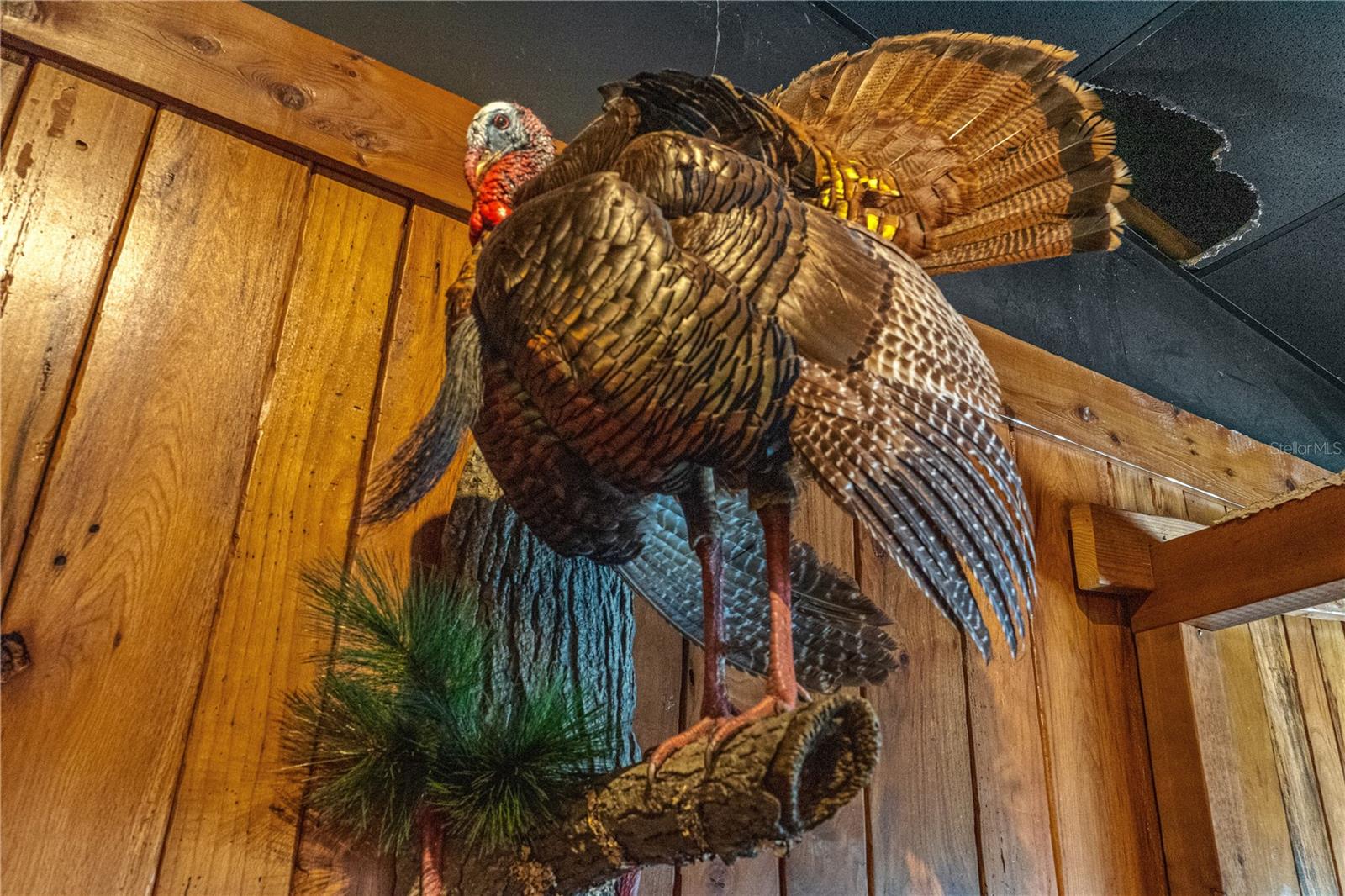 Image 25 of 78 For 4170 Us Highway 1