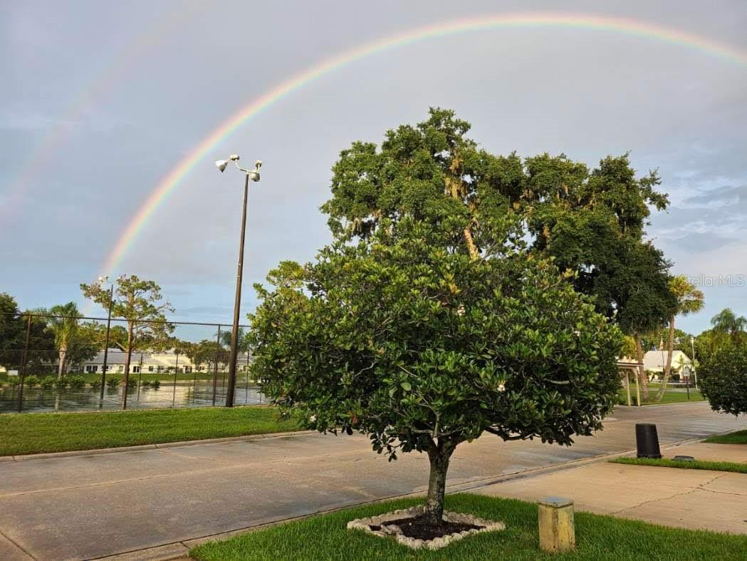 Image 42 of 43 For 367 Castlewood Lane