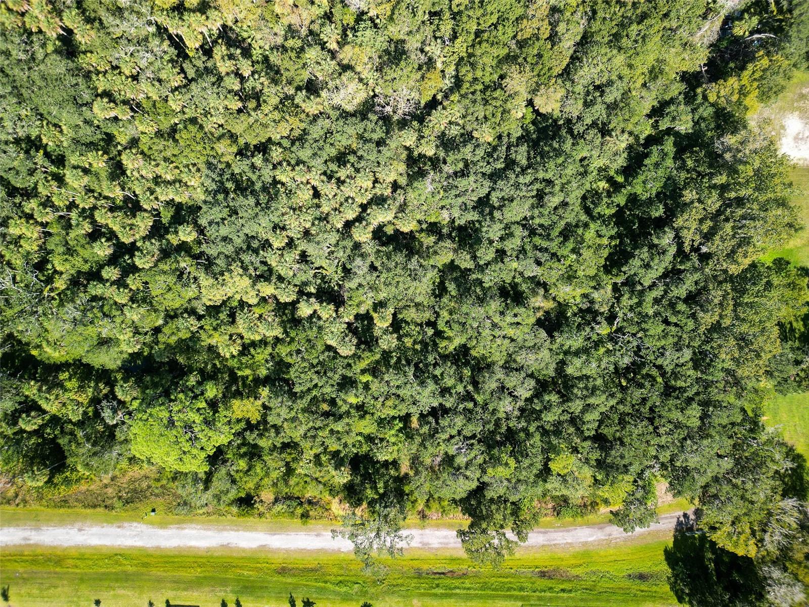 Image 4 of 4 For 1521 Ocuan Trail