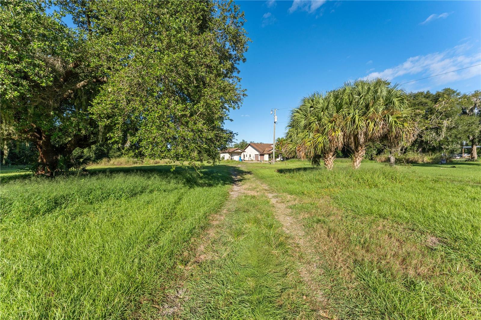 Image 10 of 13 For 2342 Singleton Avenue