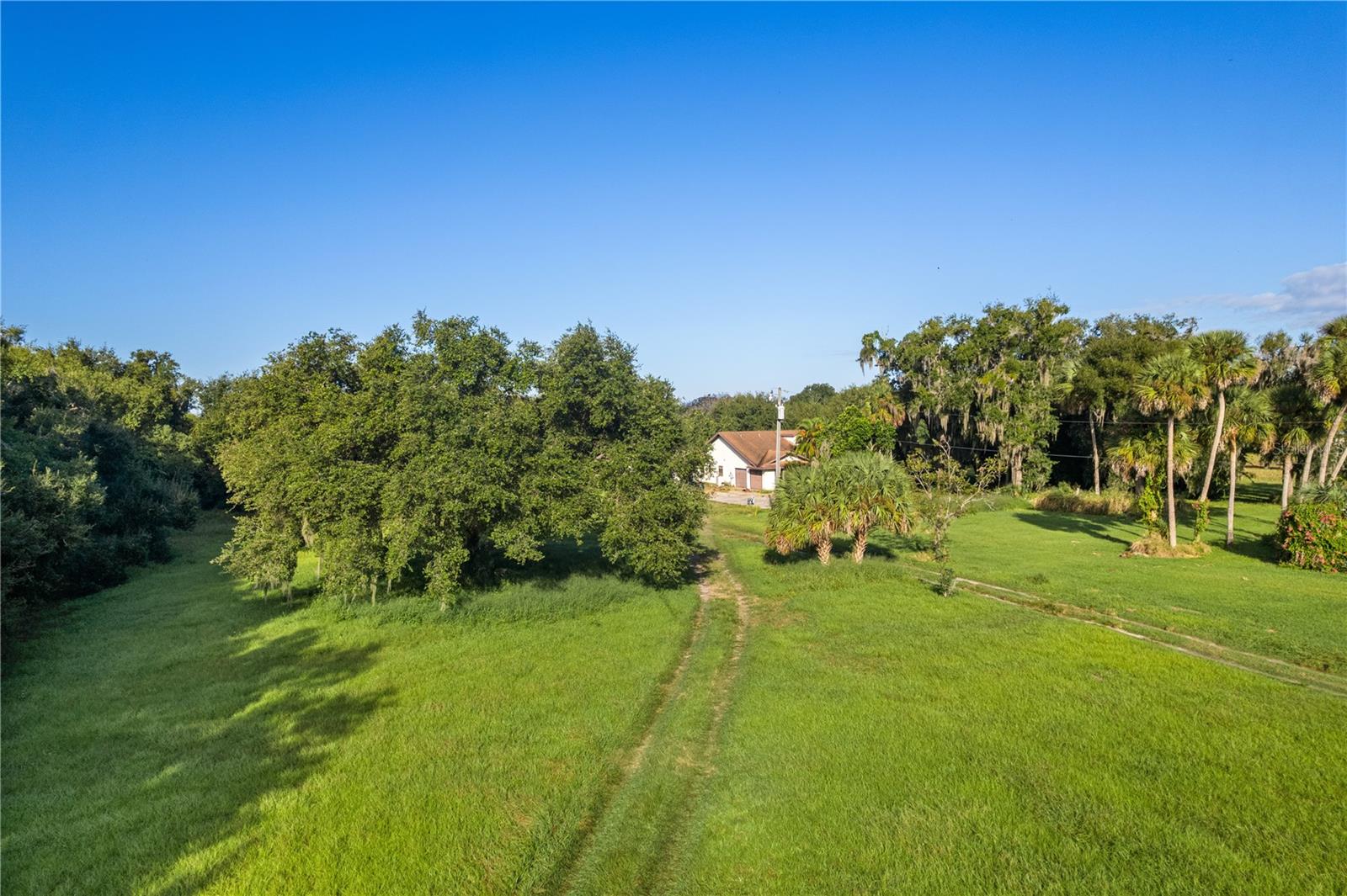 Image 6 of 13 For 2342 Singleton Avenue