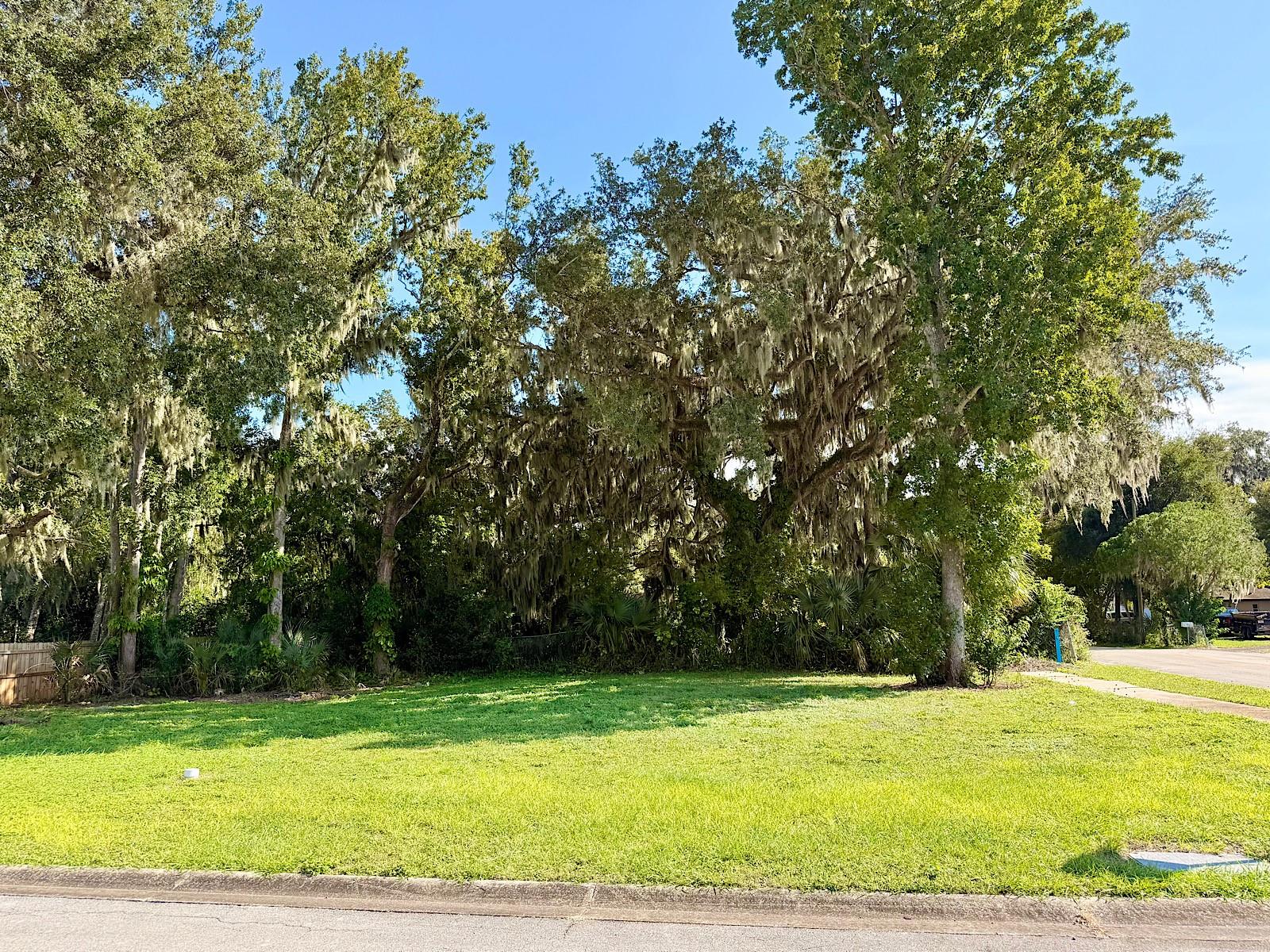 Image 3 of 4 For 1099 Yaupon Street