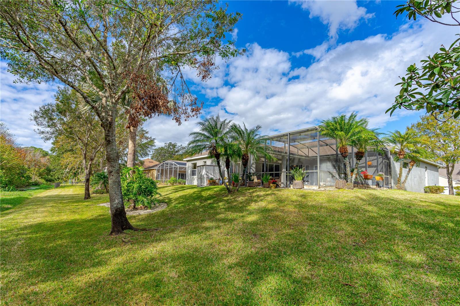 Image 8 of 51 For 3769 Fiano Drive