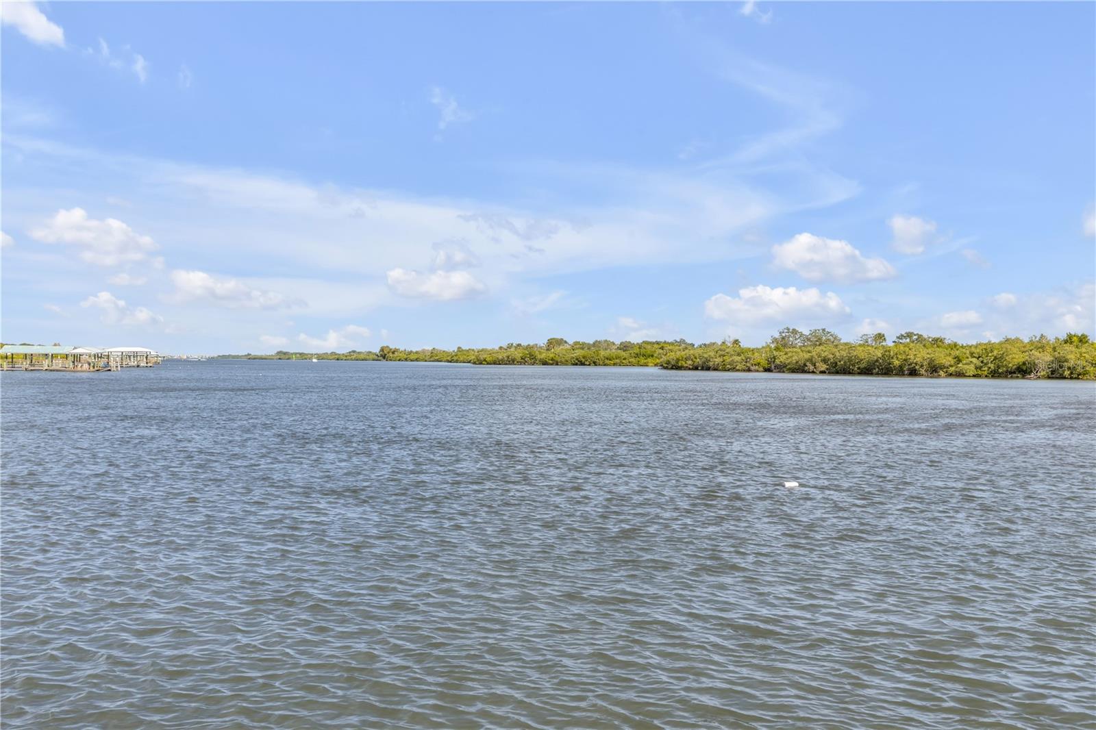 Image 73 of 80 For 2201 Ridgewood Avenue 28