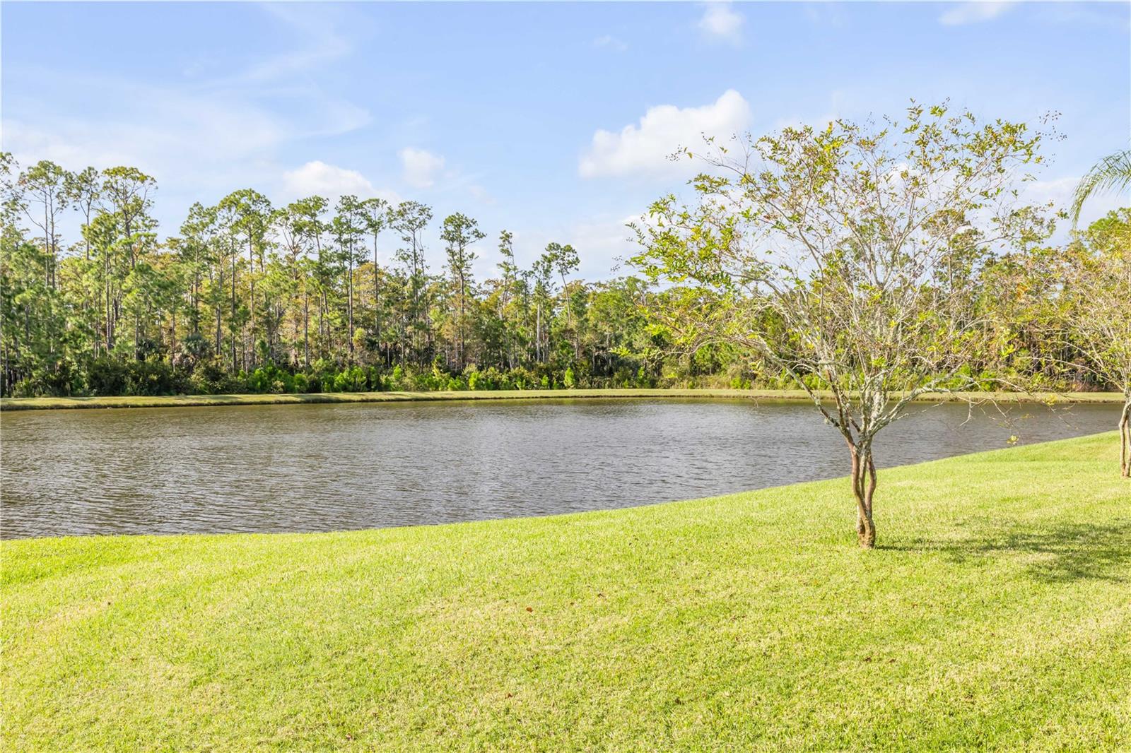 Image 58 of 84 For 3304 Modena Way