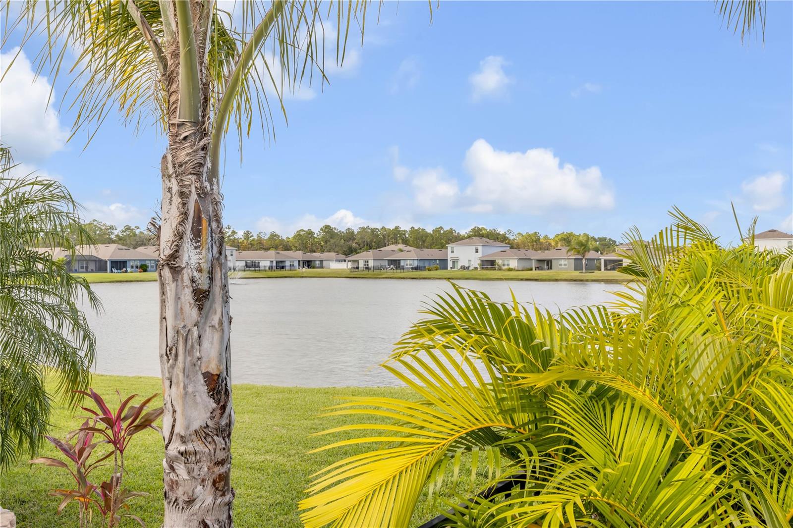 Image 62 of 91 For 206 Venetian Palms Boulevard