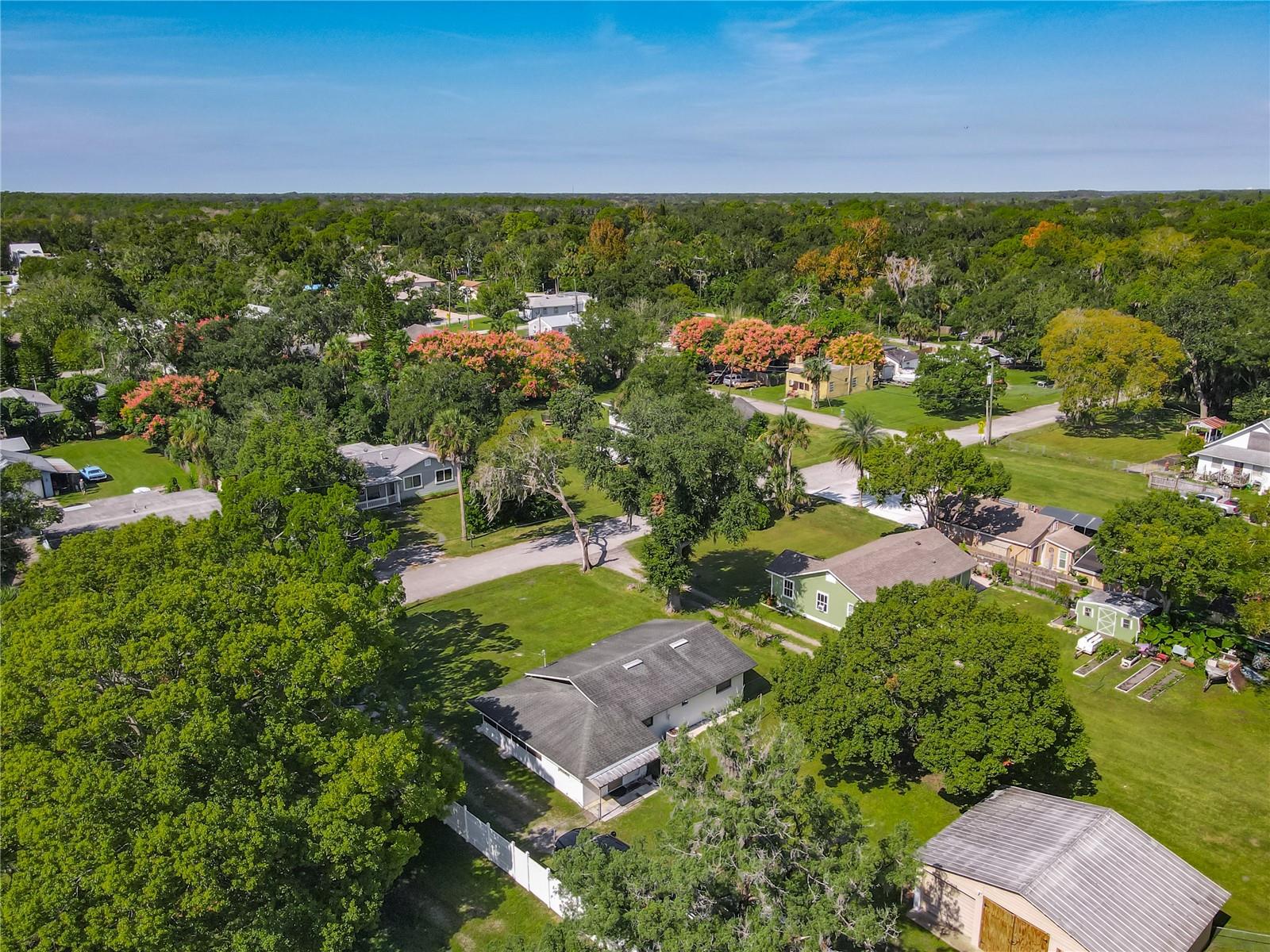 Image 44 of 46 For 265 Tanner Street