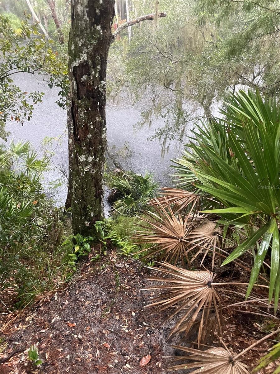 Details for 1783 Taylor Road, PORT ORANGE, FL 32128