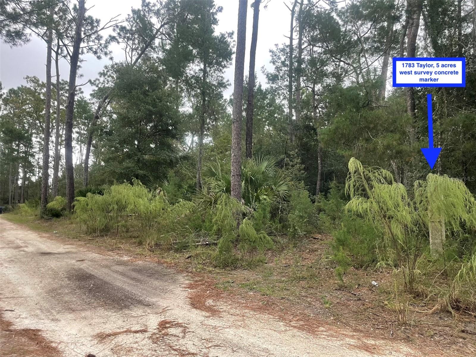 Image 10 of 31 For 1783 Taylor Road