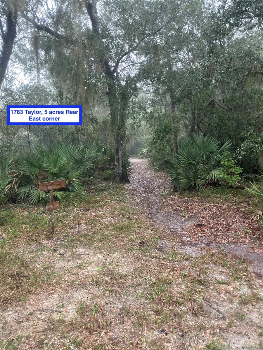 Image 11 of 31 For 1783 Taylor Road