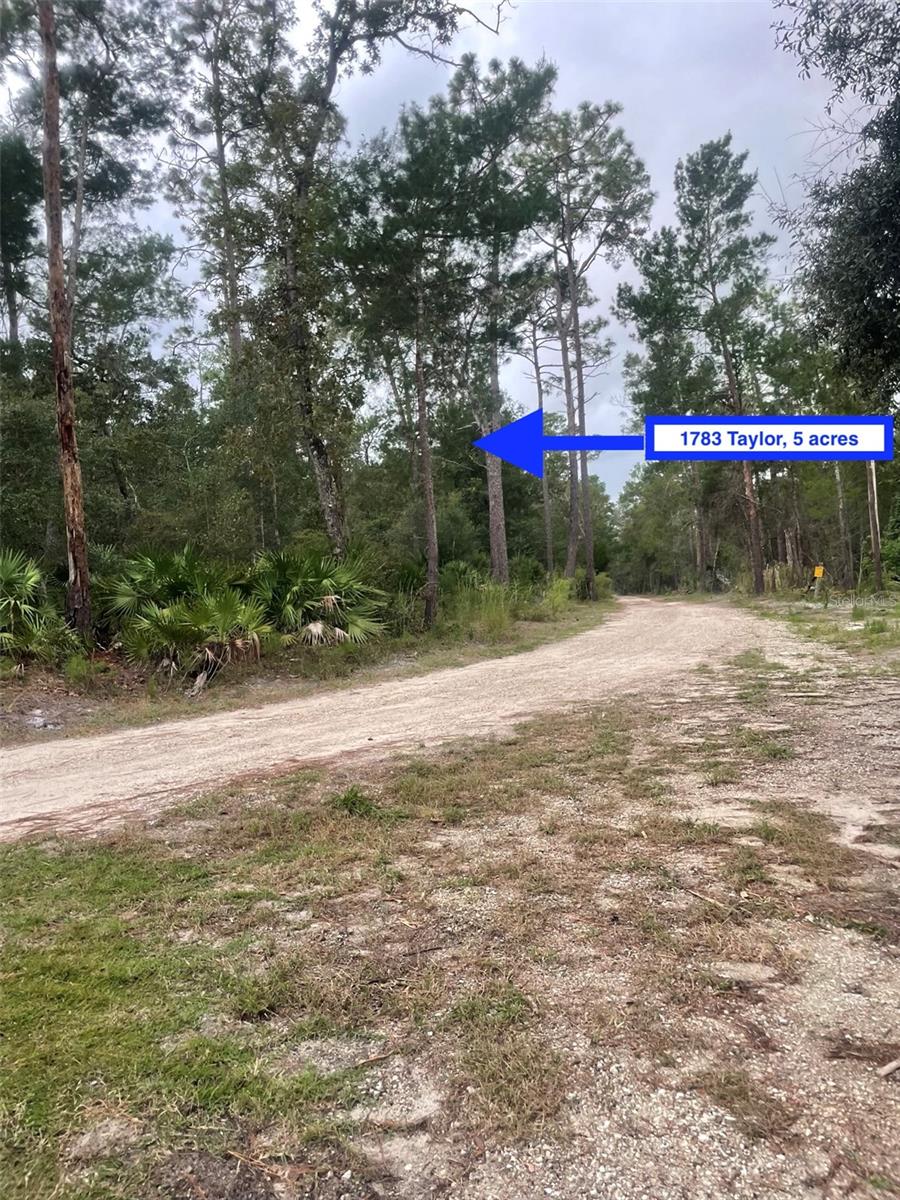 Image 12 of 31 For 1783 Taylor Road