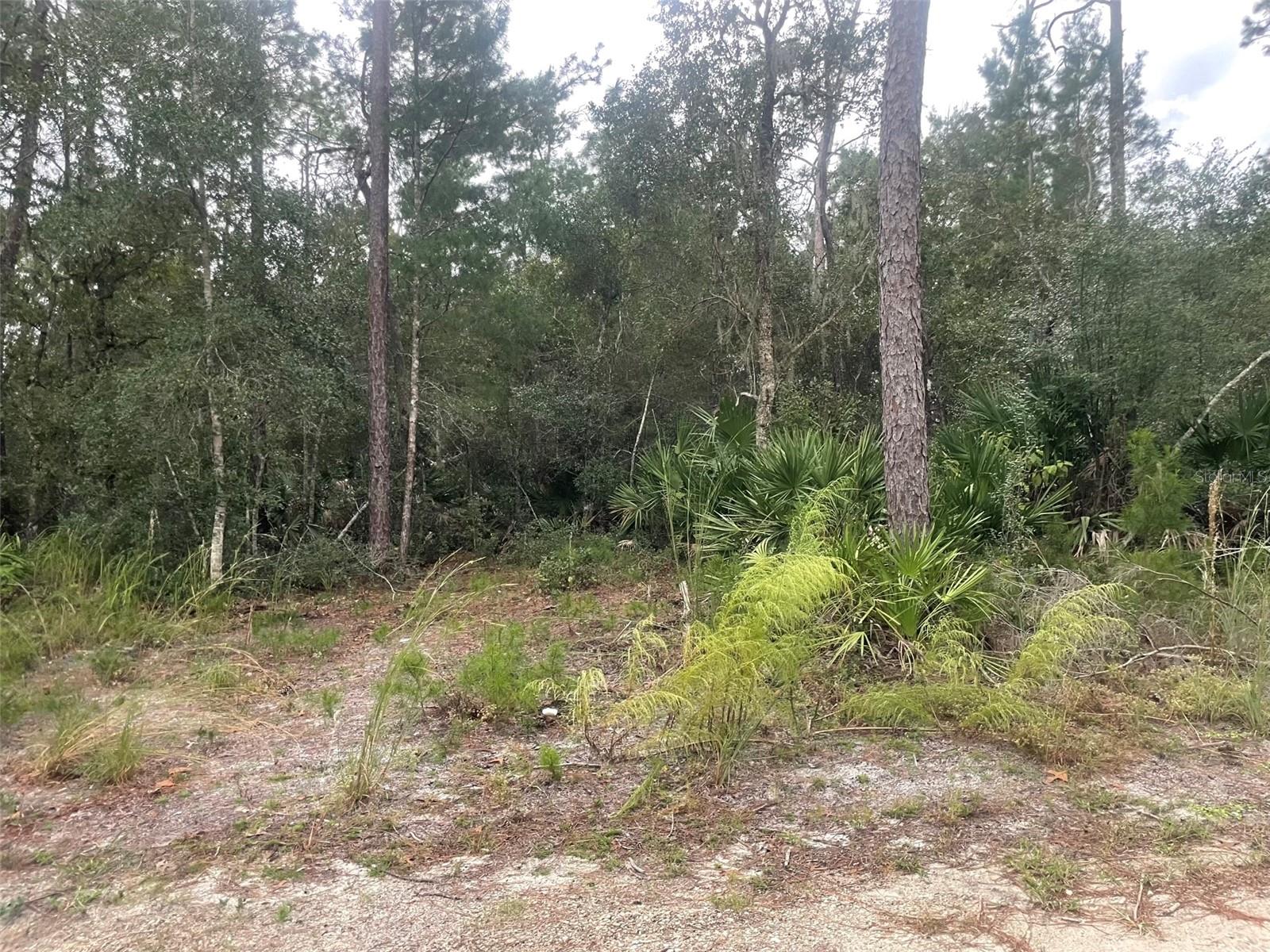 Image 14 of 31 For 1783 Taylor Road