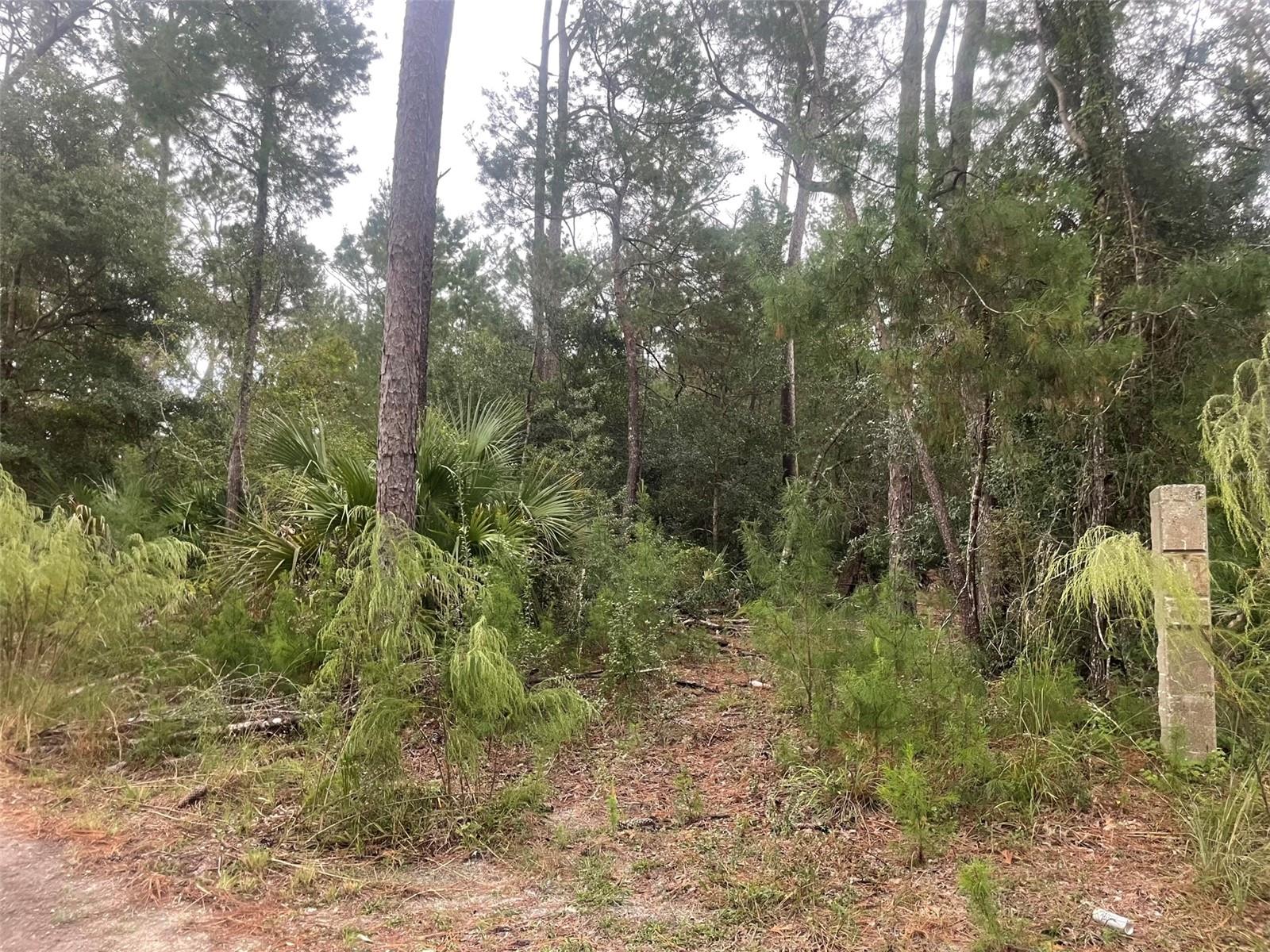 Image 15 of 31 For 1783 Taylor Road