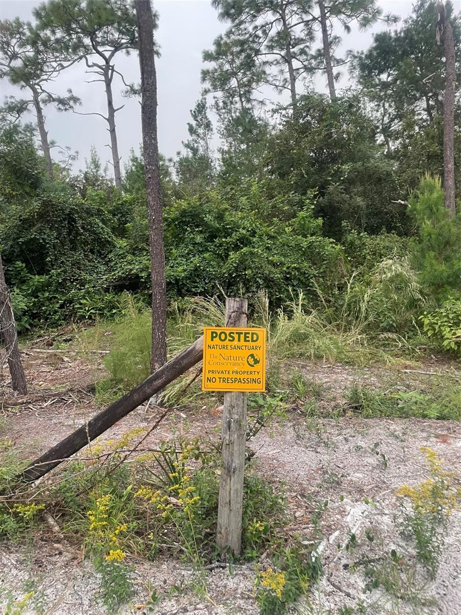 Image 16 of 31 For 1783 Taylor Road