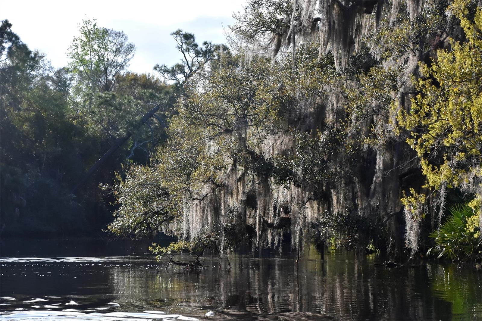 Image 19 of 31 For 1783 Taylor Road