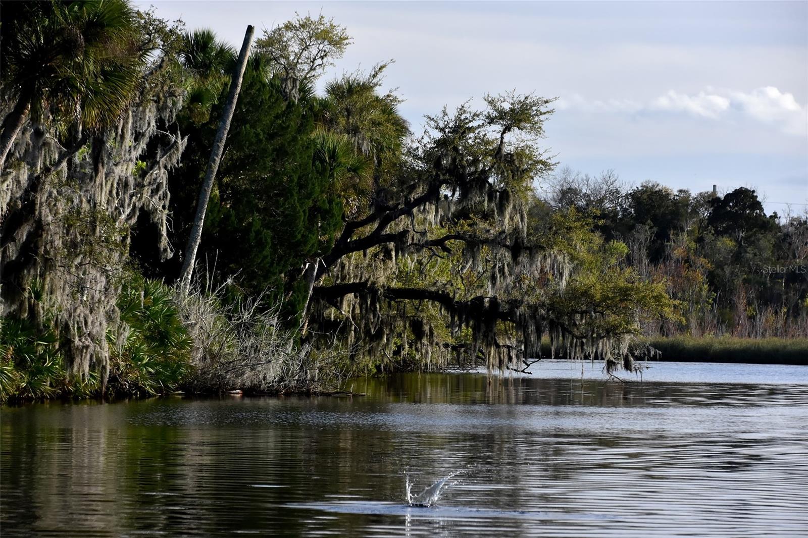 Image 2 of 31 For 1783 Taylor Road