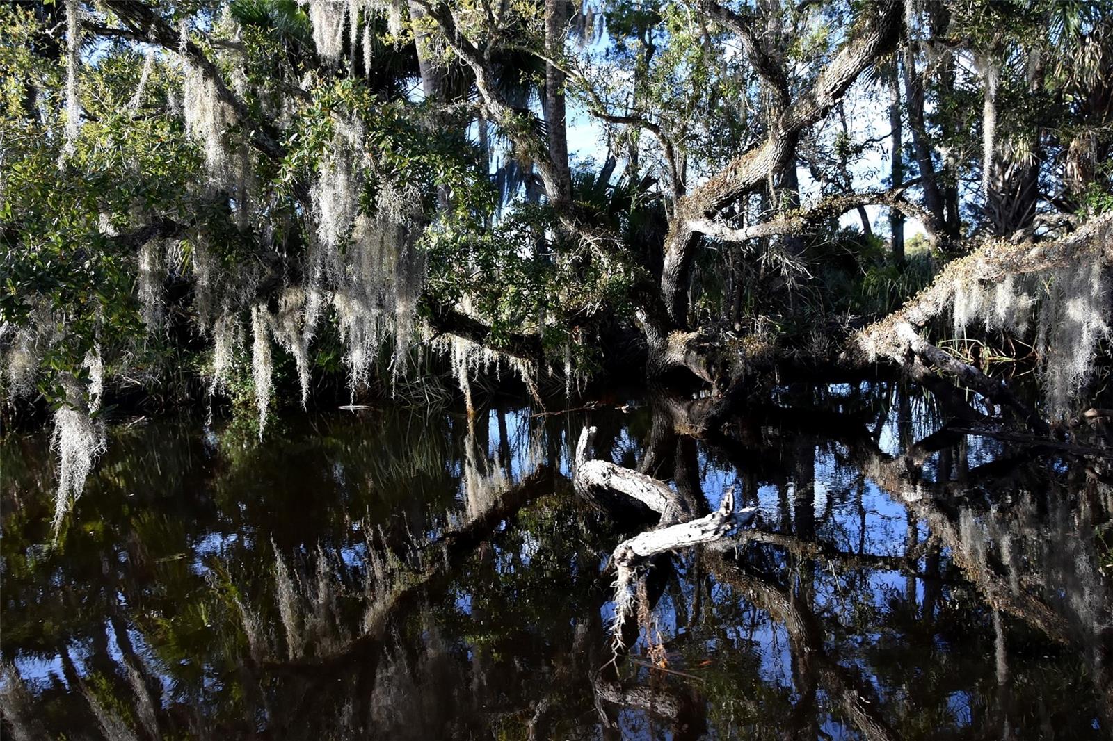 Image 20 of 31 For 1783 Taylor Road