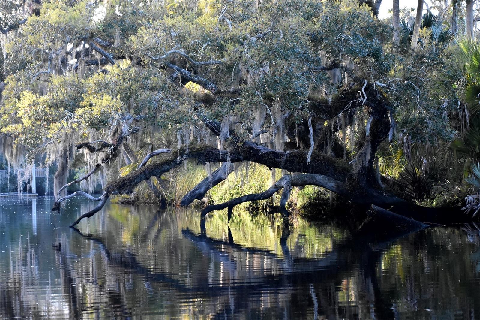 Image 21 of 31 For 1783 Taylor Road