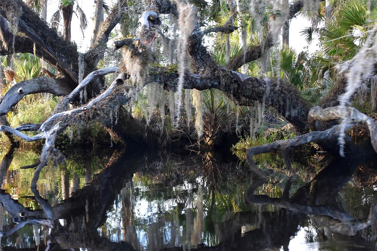 Image 22 of 31 For 1783 Taylor Road