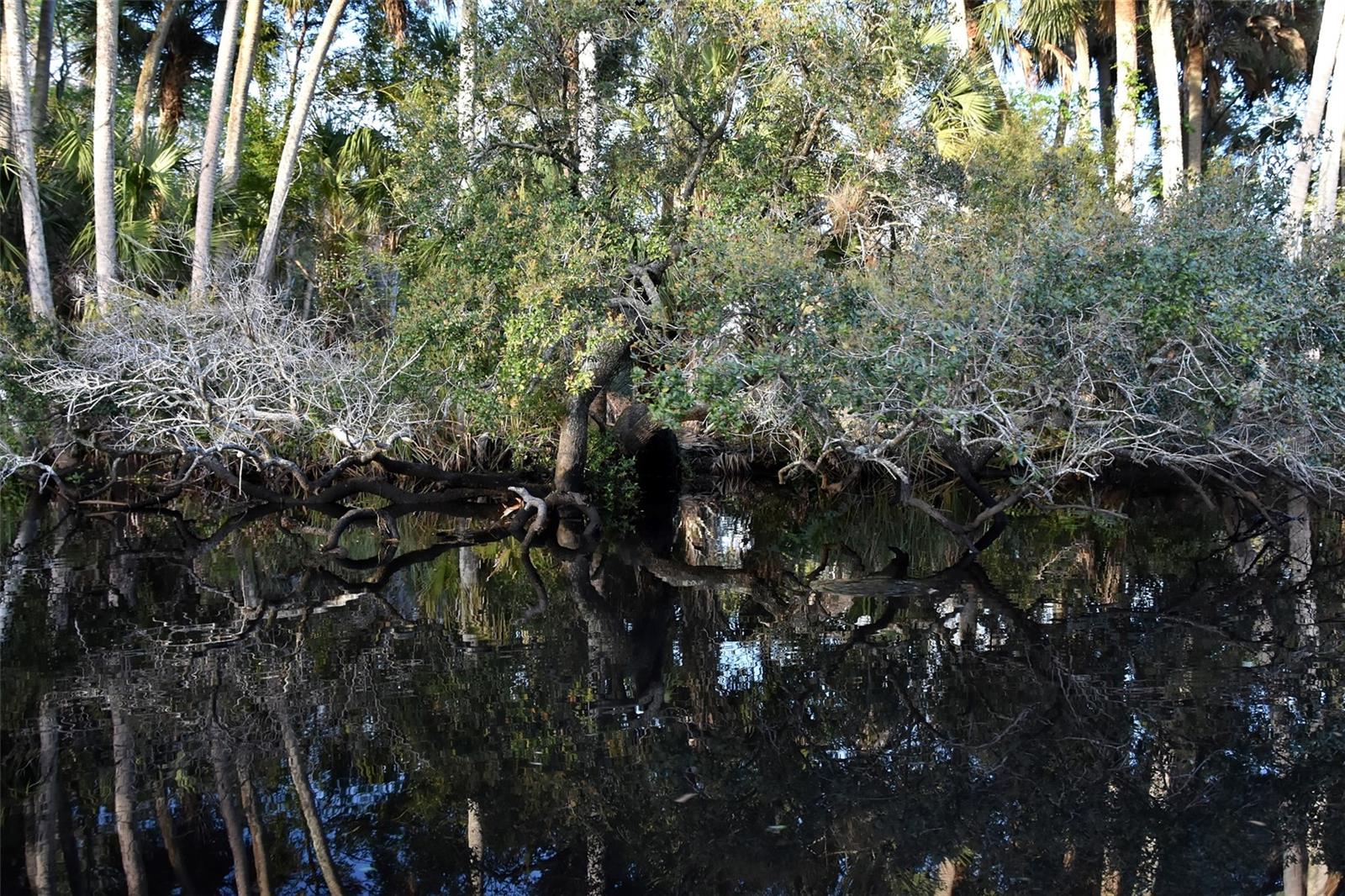 Image 23 of 31 For 1783 Taylor Road