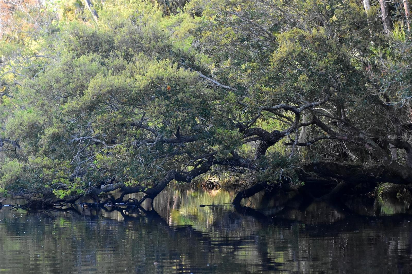 Image 24 of 31 For 1783 Taylor Road