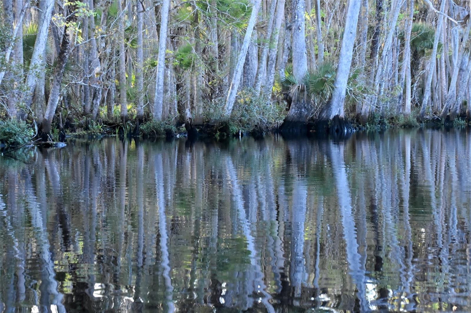 Image 25 of 31 For 1783 Taylor Road