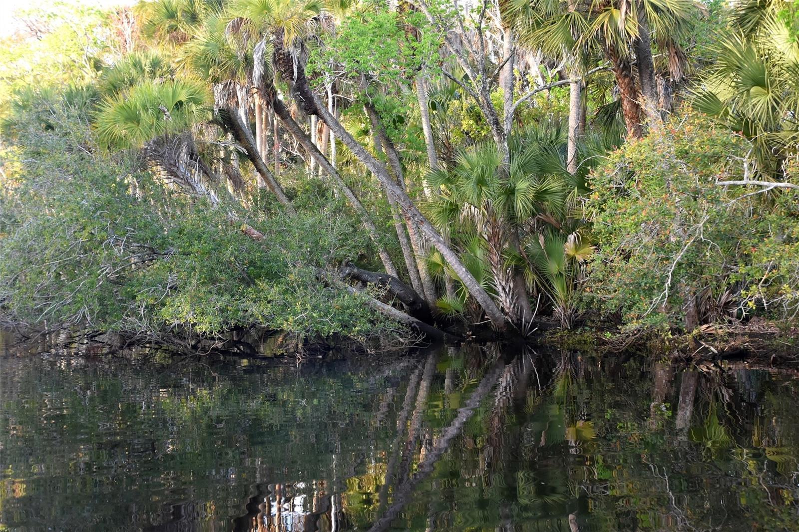 Image 26 of 31 For 1783 Taylor Road