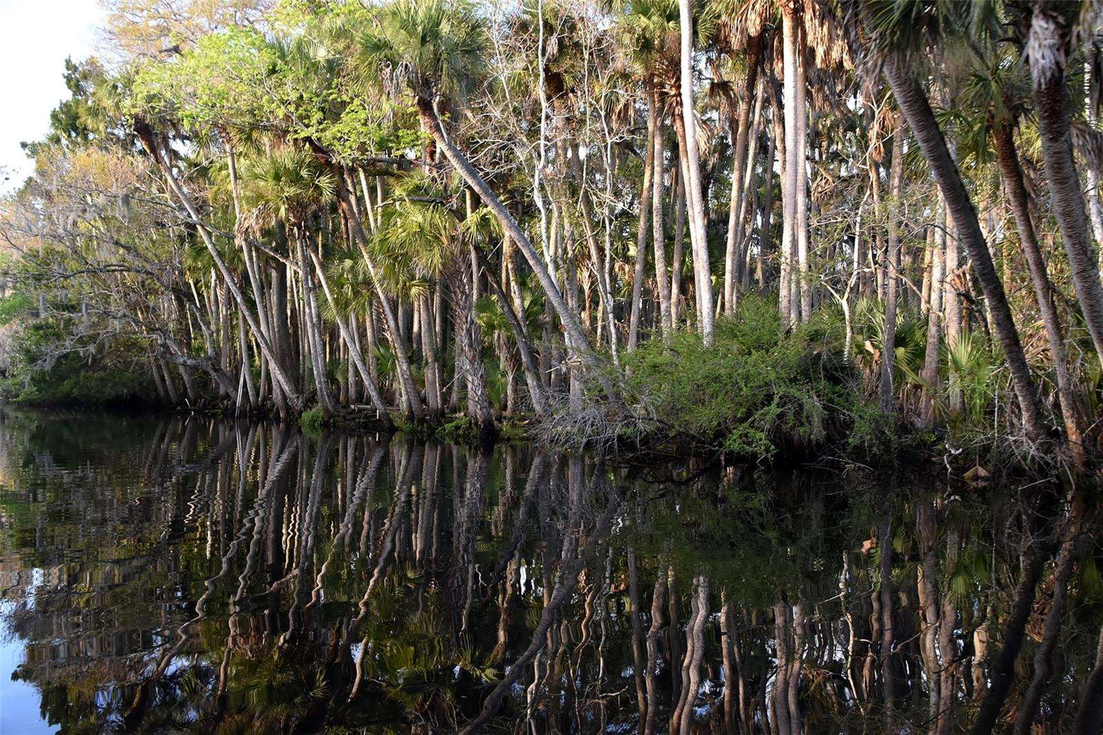 Image 27 of 31 For 1783 Taylor Road