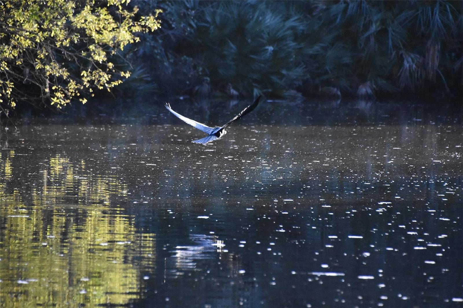 Image 28 of 31 For 1783 Taylor Road