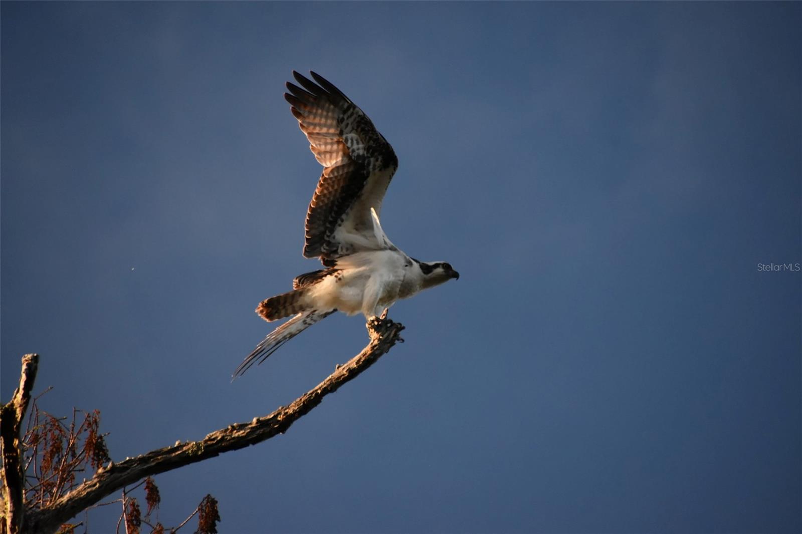 Image 29 of 31 For 1783 Taylor Road