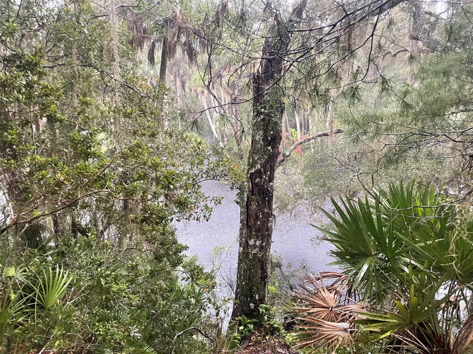 Image 3 of 31 For 1783 Taylor Road