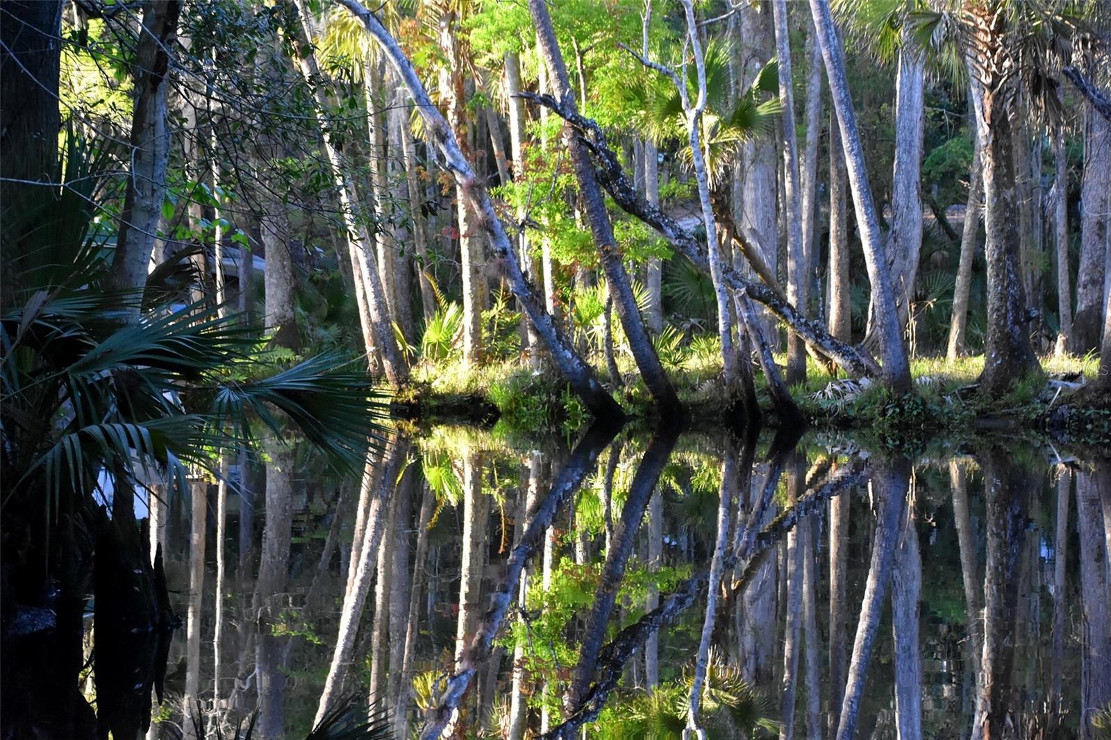 Image 30 of 31 For 1783 Taylor Road