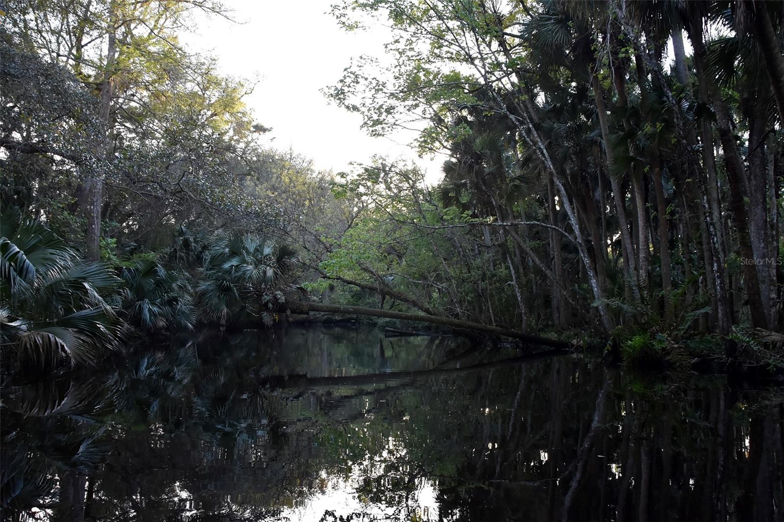 Image 4 of 31 For 1783 Taylor Road