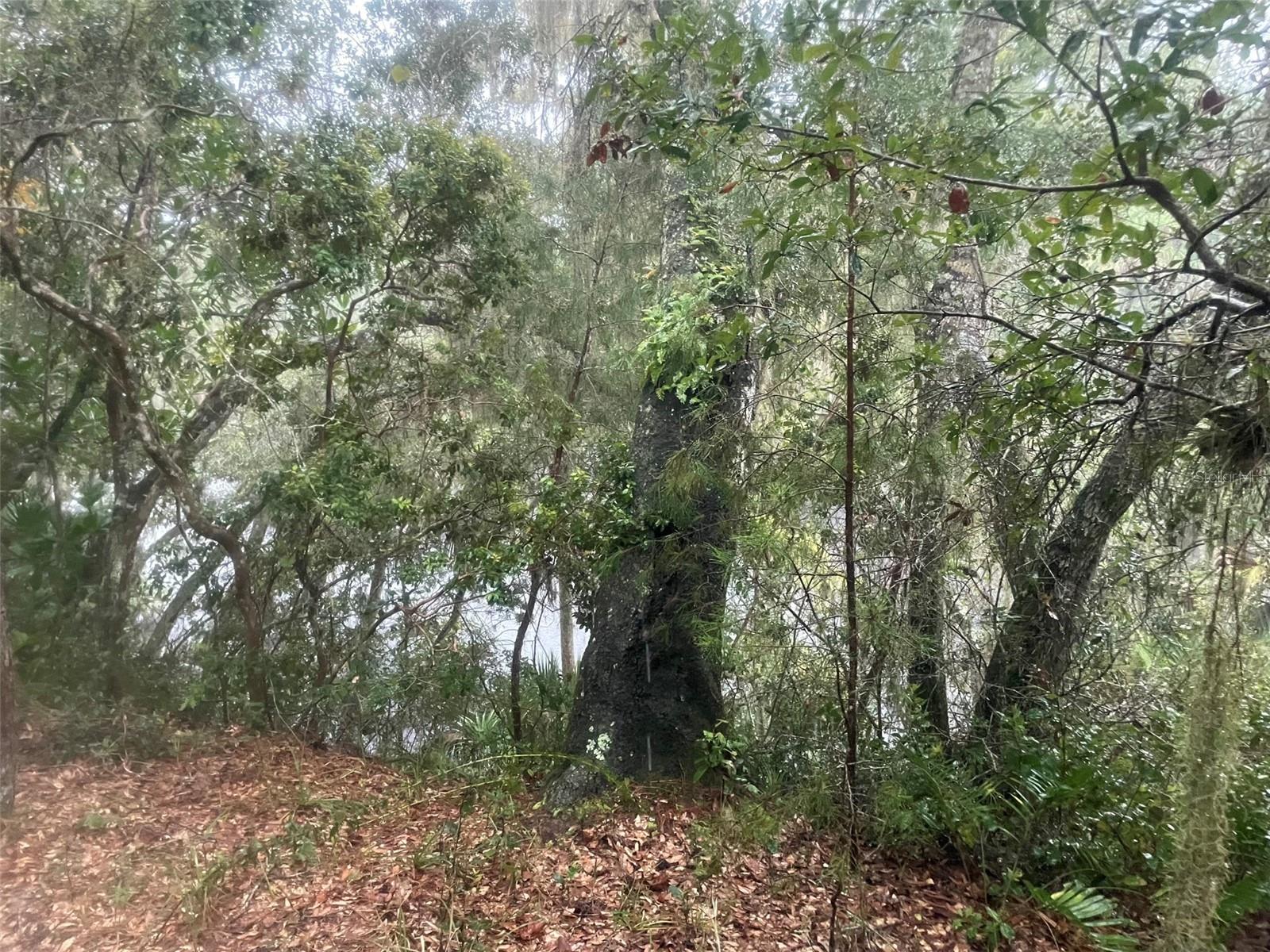 Image 5 of 31 For 1783 Taylor Road