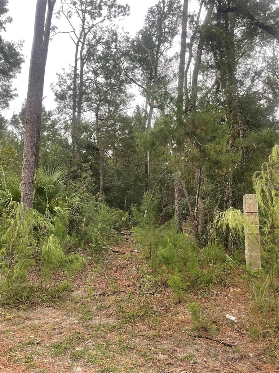 Image 7 of 31 For 1783 Taylor Road