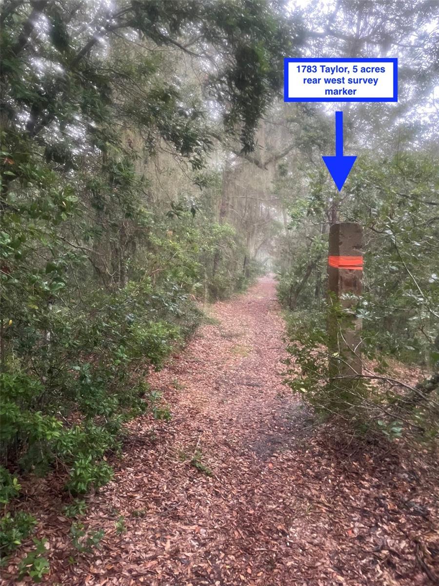 Image 9 of 31 For 1783 Taylor Road