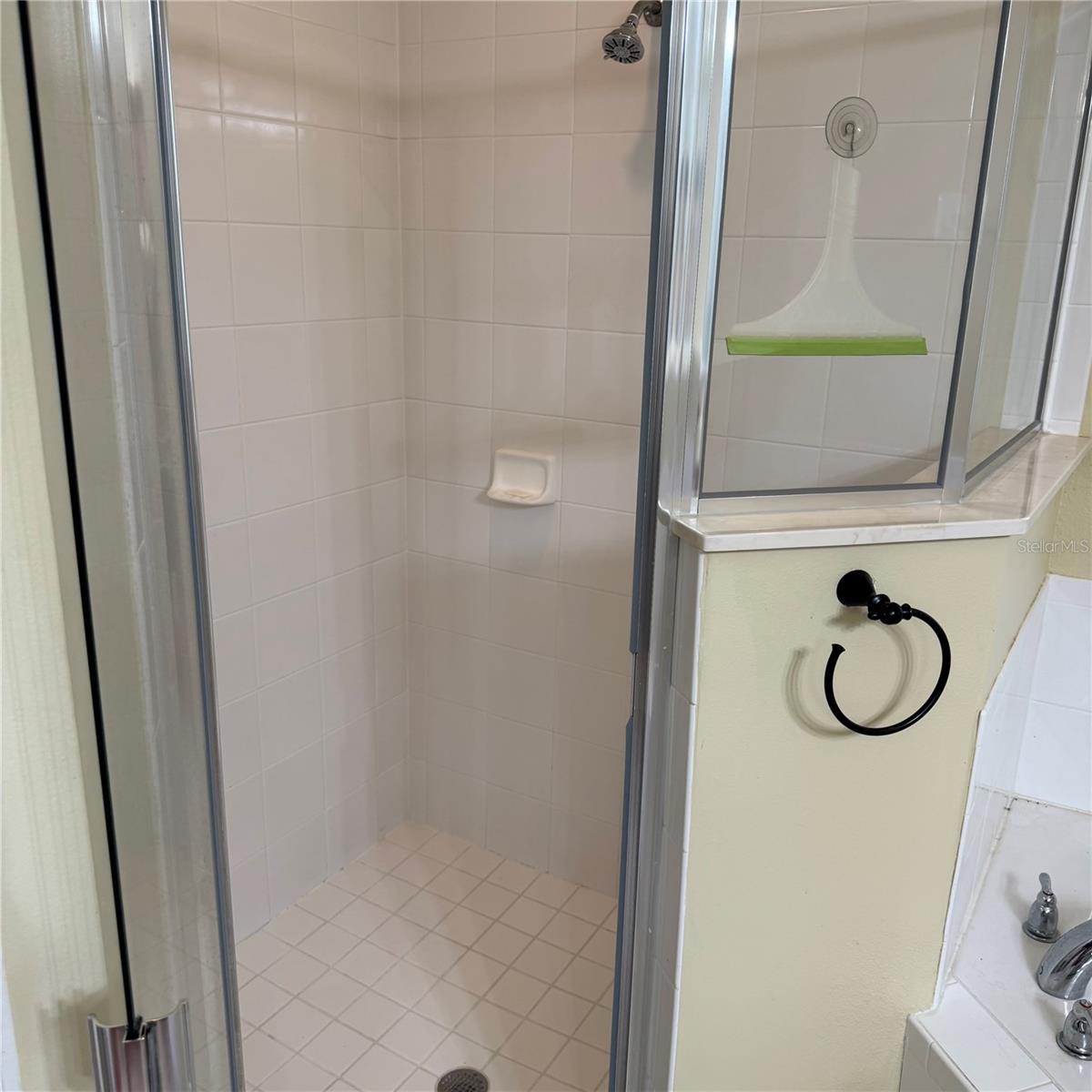 Image 14 of 19 For 653 Coral Trace Boulevard