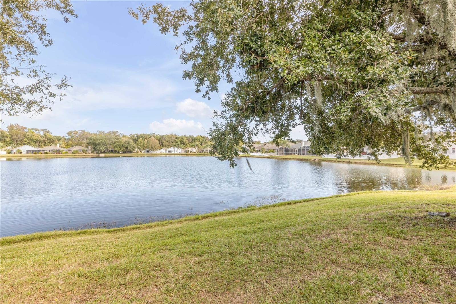 Image 50 of 52 For 653 Coral Trace Boulevard