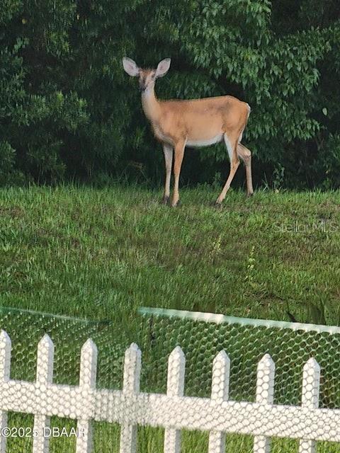 Image 4 of 24 For 704 Saw Palmetto Court